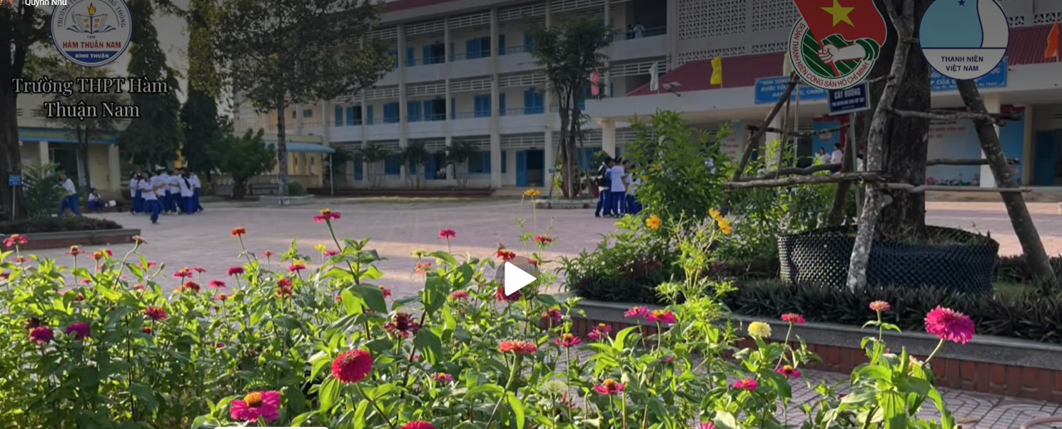 Trường THPT Hàm Thuận Nam - Ngôi nhà của tri thức và khát vọng | Tác giả : chi đoàn 11a6